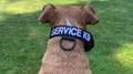 Concealed E-Collar Tactical Collar